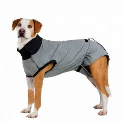 Trixie Body De Protection Pour Chien L