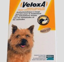 Veloxa Chien 4 Cps