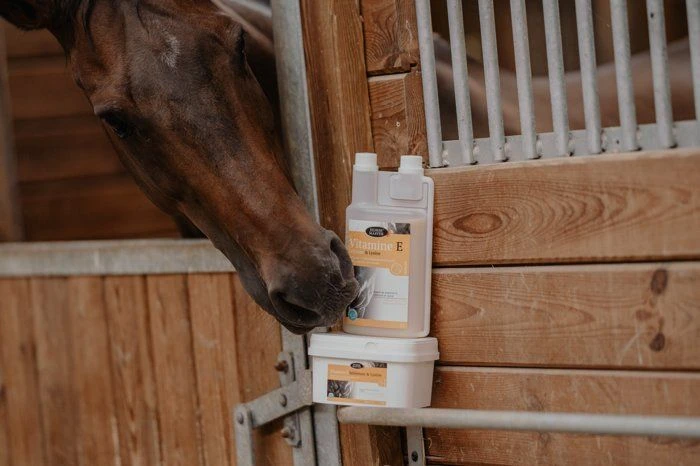 Horse Master Vitamine E Sélénium & Lysine Poudre 1 Kg 2 Horse Master Vitamine E Sélénium & Lysine Poudre 1 Kg – Image 2