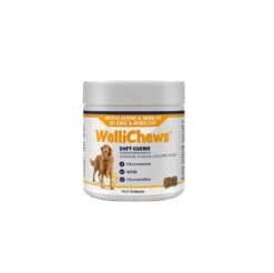 WelliChews Articulations Moyen Et Grand Chien X60