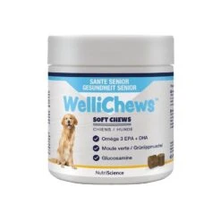 WelliChews Soins Senior Moyen Et Grand Chien X60